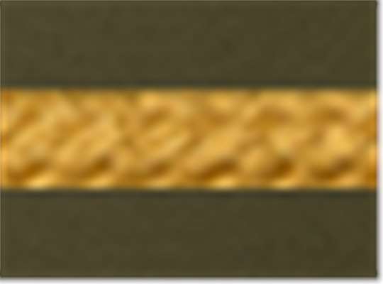 Loden/ Amber Gold