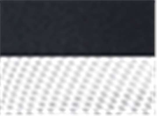 Navy/ White