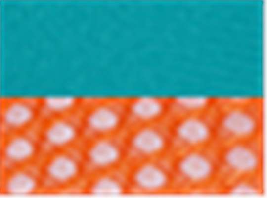 Teal/ Orange