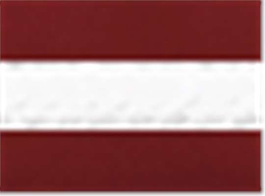 Cardinal/ White