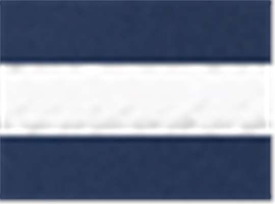 Navy/ White