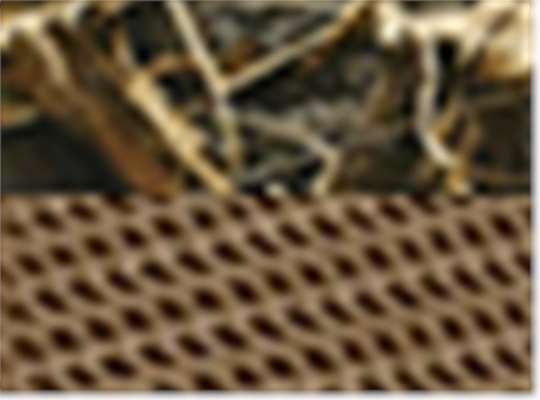 Realtree Max 7/ Buck