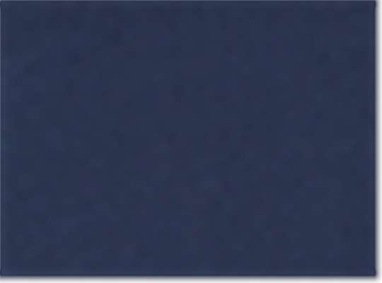 Collegiate Navy