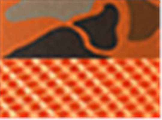 Blaze Duck Camo/ Blaze