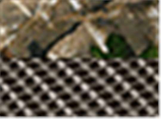 Realtree Edge/ Brown