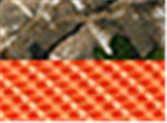 Realtree Edge/ Neon Orange