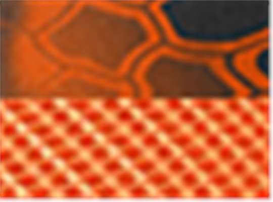 Kryptek Inferno/ Blaze Orange