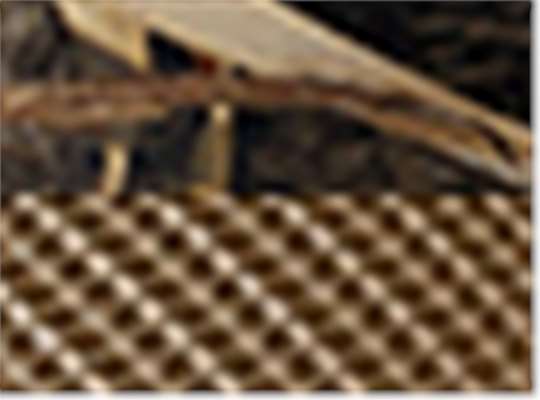 Realtree Max-7/ Buck