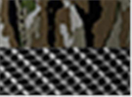Realtree Original/ Black