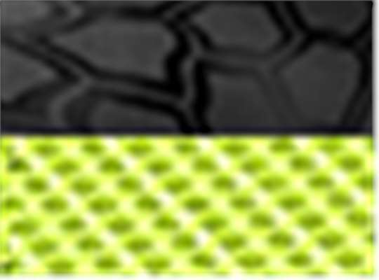 Kryptek Typhon/ Neon Yellow