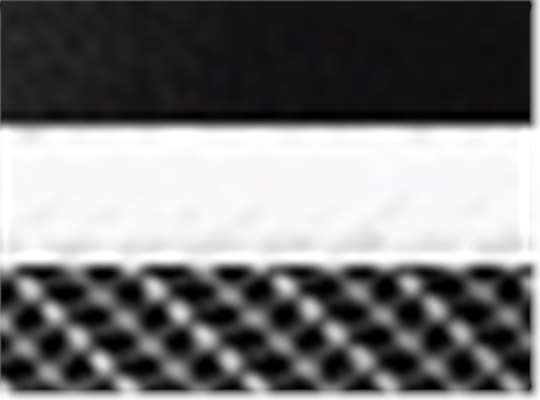 Black/ White