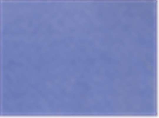 Periwinkle