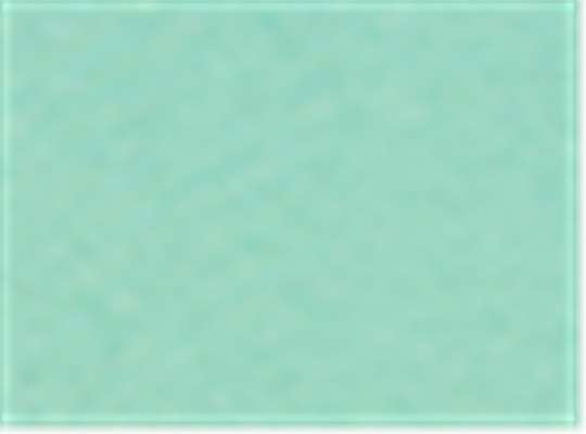 Clean Mint