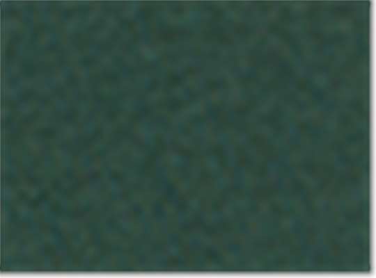 Athletic Dark Green