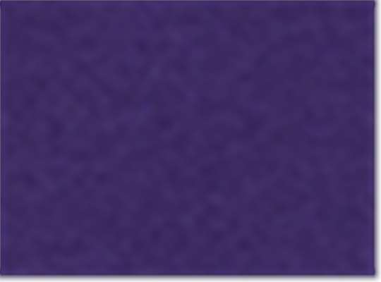 Athletic Purple