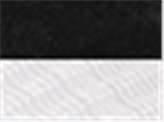 Black/ White