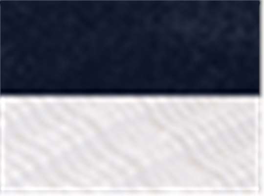 Navy/ White