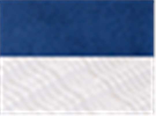 Royal/ White
