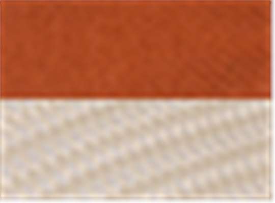 Texas Orange/ Khaki