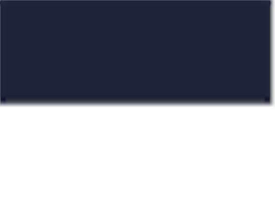 Team Navy Blue/ White