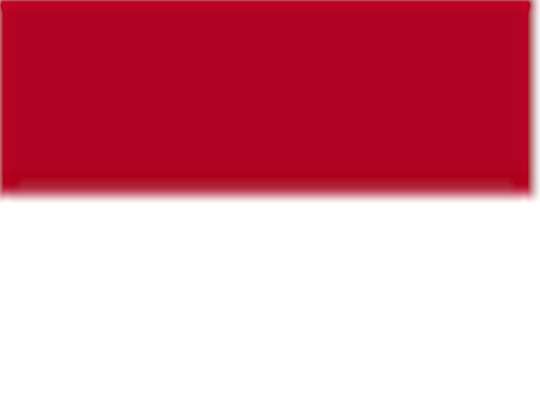 Team Power Red/ White