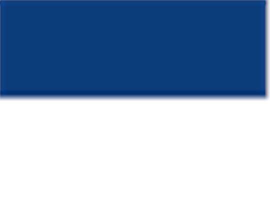 Team Royal Blue/ White