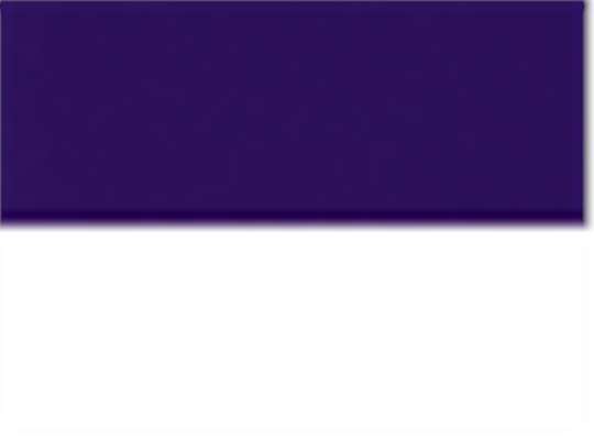 Team Collegiate Purple/ White