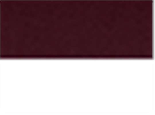 Team Maroon/ White