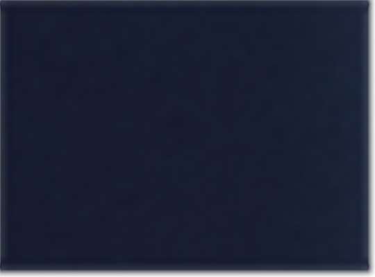 Team Navy Blue