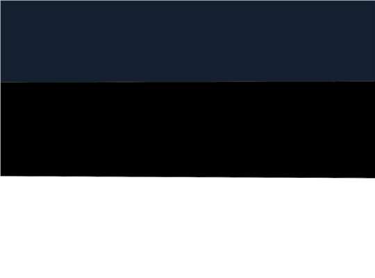 Team Navy Blue/ Black/ White